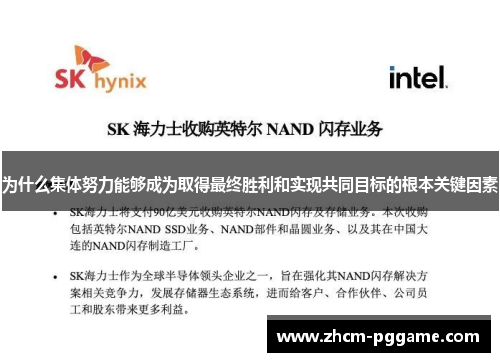 为什么集体努力能够成为取得最终胜利和实现共同目标的根本关键因素