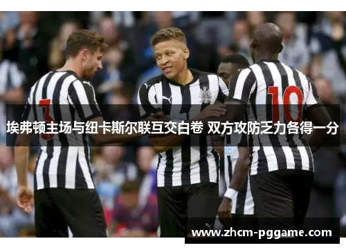 埃弗顿主场与纽卡斯尔联互交白卷 双方攻防乏力各得一分 埃弗顿主场与纽卡斯尔联互交白卷 双方攻防乏力各得一分